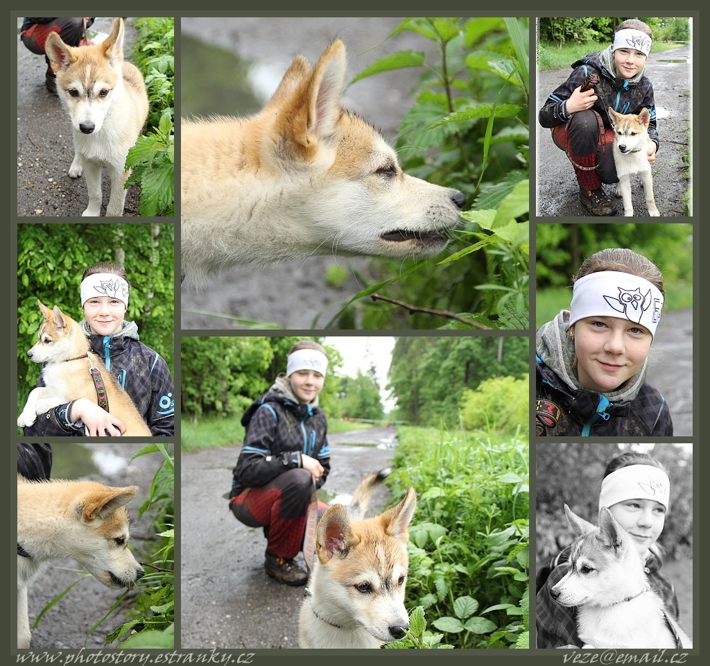 IMG_8855_postcard HUSKY